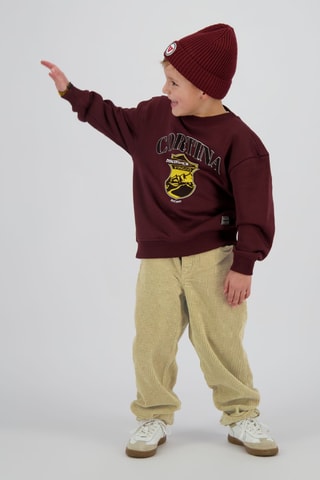 Pantalon en velours - Marron