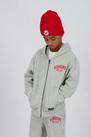 Sweat à capuche - Gris
