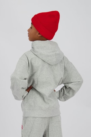 Sweat à capuche - Gris
