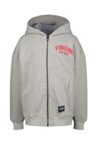 Sweat à capuche - Gris