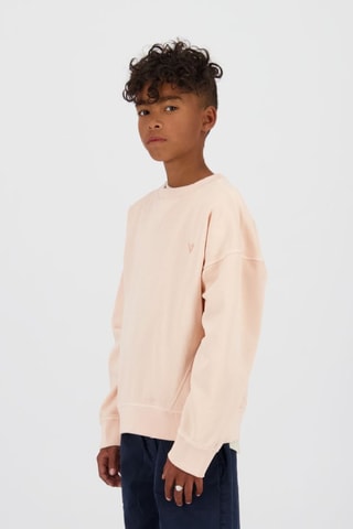 Sweat - Rose