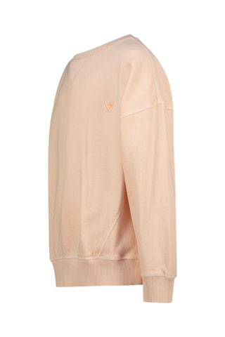 Sweat - Rose