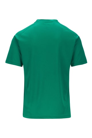 Polo Dalto - Verde