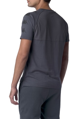 Camiseta regular - Gris