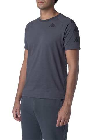 Camiseta regular - Gris