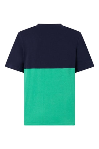 Camiseta Grimone - Azul y verde