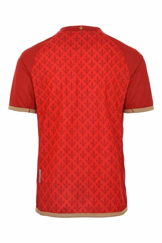 Camiseta Angers SCO - Rojo