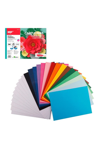 25 cartelline - Colore casuale