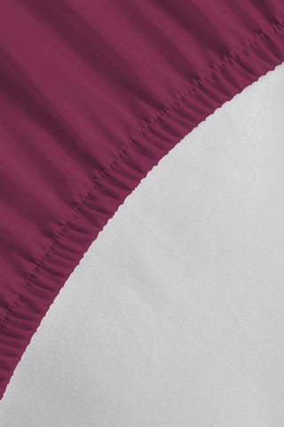 Juego de sábanas 57 hilos/cm²- Fucsia