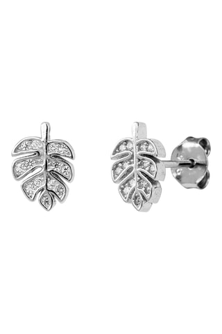 Puces - Argent