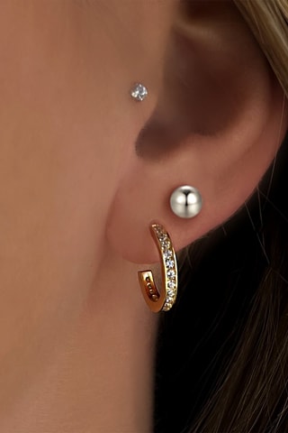 Puces Argent