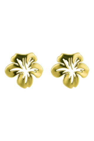 Puces - Plaqué or jaune