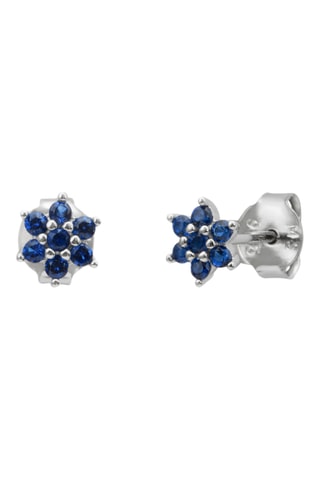 Puces - Argent