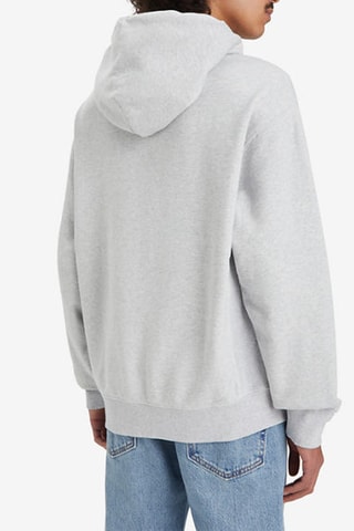 Sweat à capuche Authentic - Gris