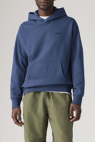 Sweat à capuche The Authentic Hoodie Sargasso Sea Garmen - Vert