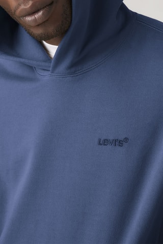 Sweat à capuche The Authentic Hoodie Sargasso Sea Garmen - Vert