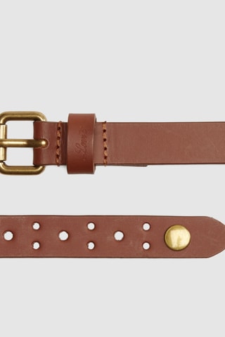 Ceinture en cuir Harper Studded - Marron