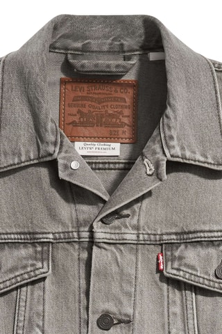 Veste en jean The Trucker - Gris clair