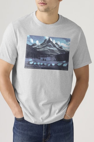 T-shirt Relaxed Fit Abstract - Gris