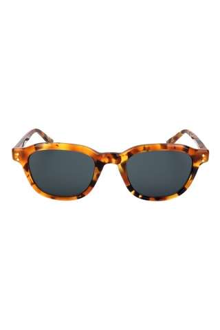 Lunettes de soleil homme - Catégorie 2 - Noir, vert et marron