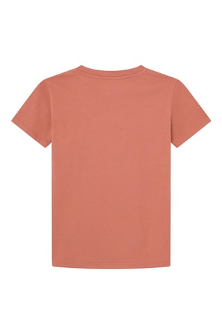 T-shirt Art - Salmone