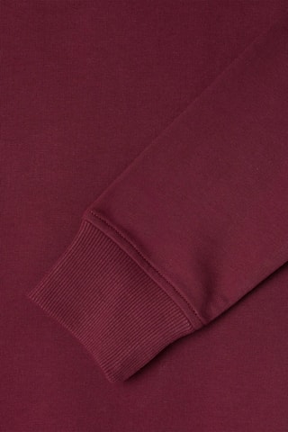 Felpa con cappuccio Jack - Bordeaux
