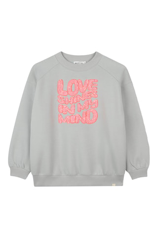 Sudadera - Gris claro