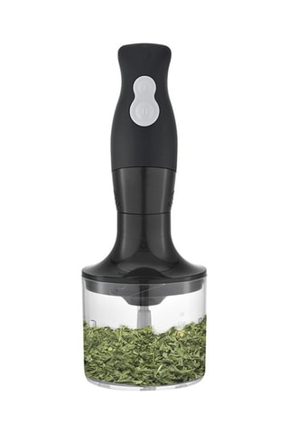 Batidora de mano - 500 ml - 250-300 W - Gris y negro