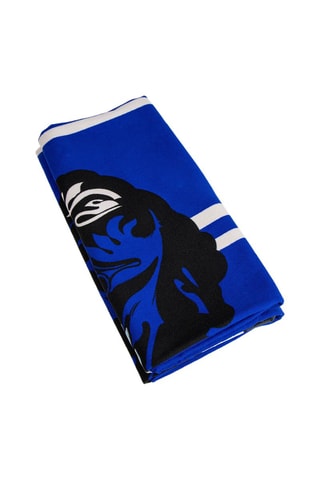Telo bagno Corvonero Harry Potter  - 90 x 180 cm - Blu