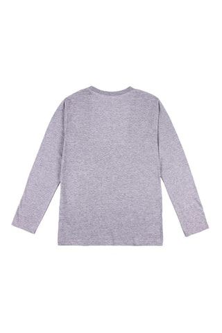 T-shirt Hogwarts Harry Potter - Gris