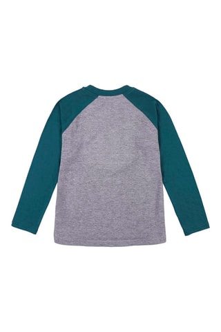 T-shirt Harry Potter - Verde e grigio