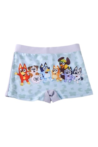 Costume parigamba Bluey - Blu