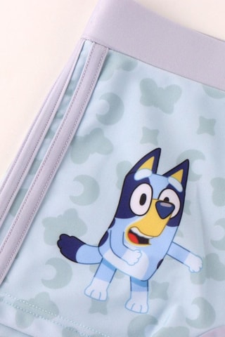 Costume parigamba Bluey - Blu