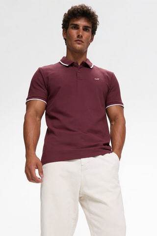 5 Polo’s - Wit en Blauw