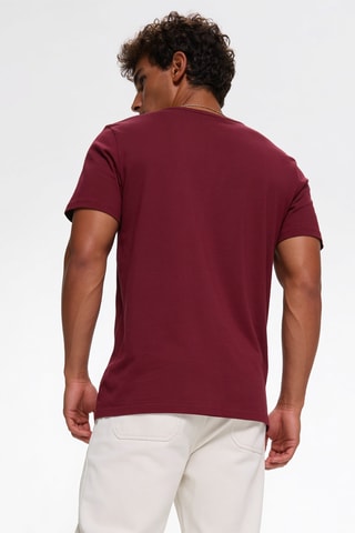 3 T-shirts - Bordeauxrood en Grijs