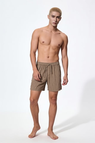 Short - Bruin