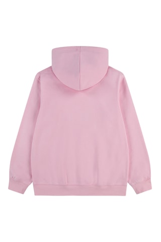 Sweat à capuche Baseline - Jordan - Rose