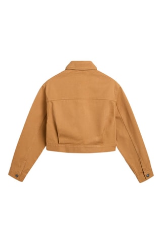 Veste Raynes Crop Trucker Jacket GR - Marron