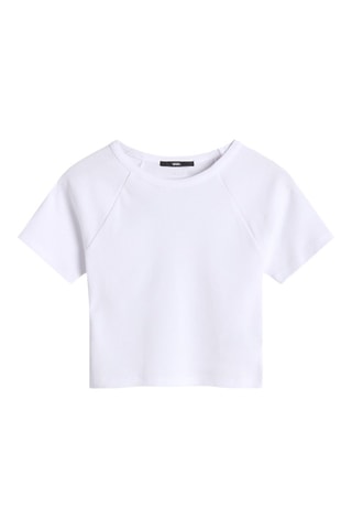 T-shirt - Bleu clair - Adidas - Vans