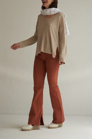 Broek - Bruin