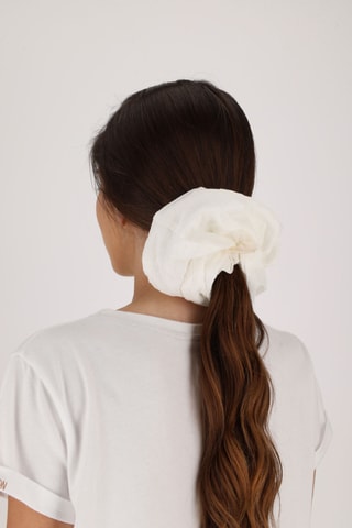 Elastiek voor de Haren