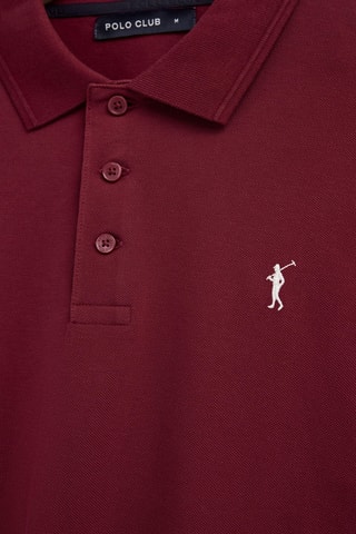 3 Polo's Regular Fit - Bordeauxrood, groen en blauw