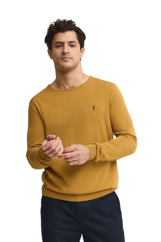 Trui Regular - Mosterdgeel