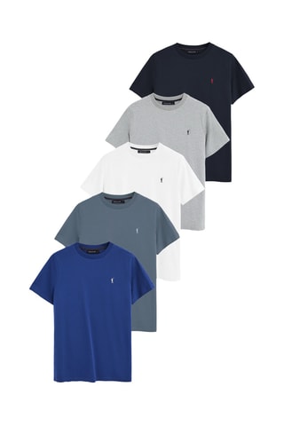 5 T-shirts Regular - Grijs, blauw en wit