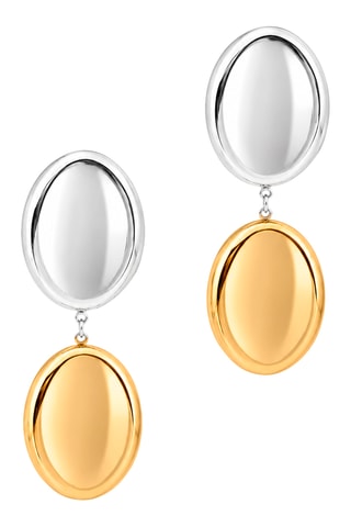 Boucles d’oreilles - Argenté et doré