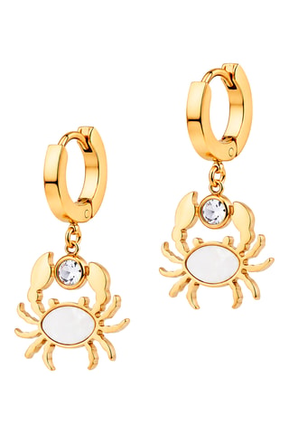 Boucles d’oreilles - Zircons