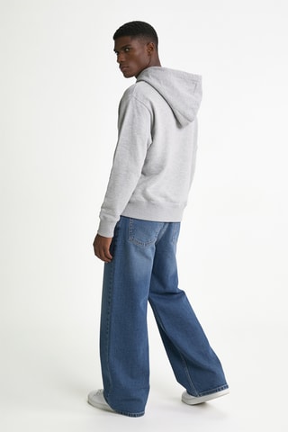 Sweater met capuchon - Lichtgrijs