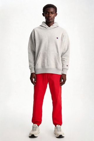 Sweater met capuchon - Grijs