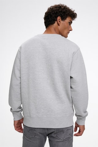 Sweater met capuchon - Gemêleerd Lichtgrijs