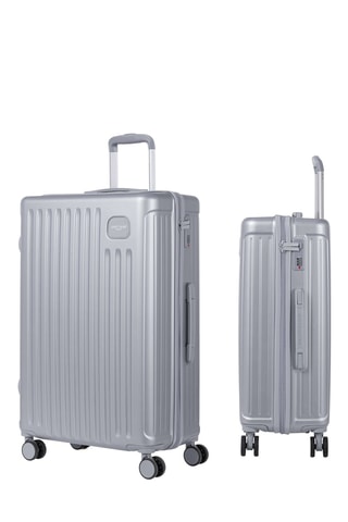 Set van 3 Trolleys (S/M/L) Assepoester - Zilverkleurig - 55 / 65 / 75 cm